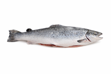 Лосось с/м Чили 5-6