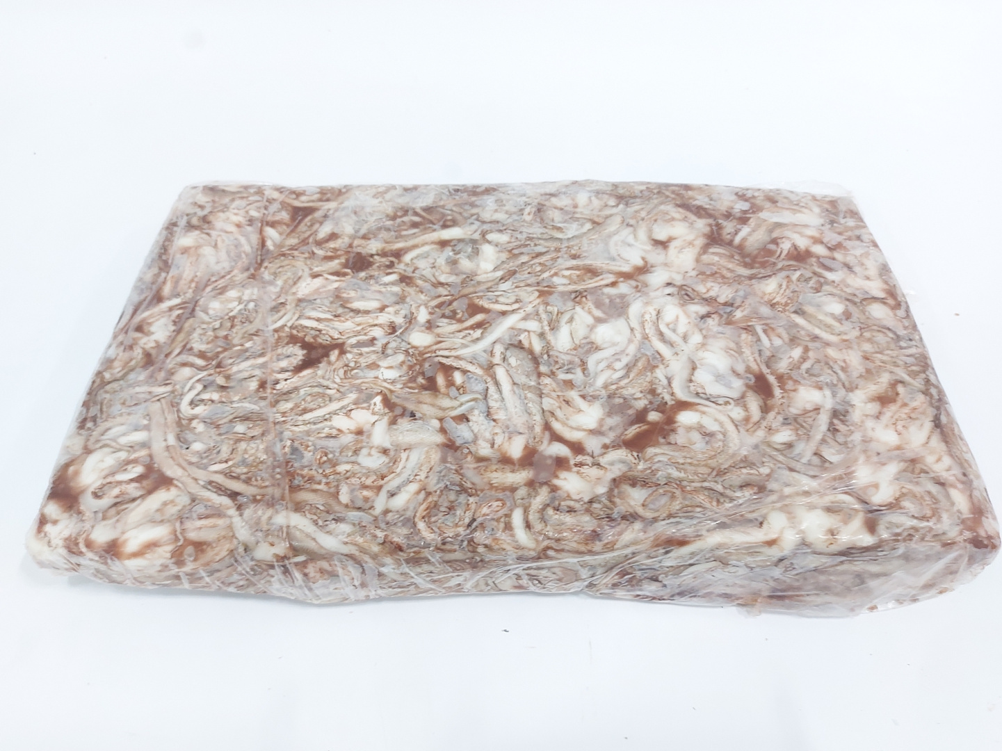 Кальмар щупальца РОССИЯ