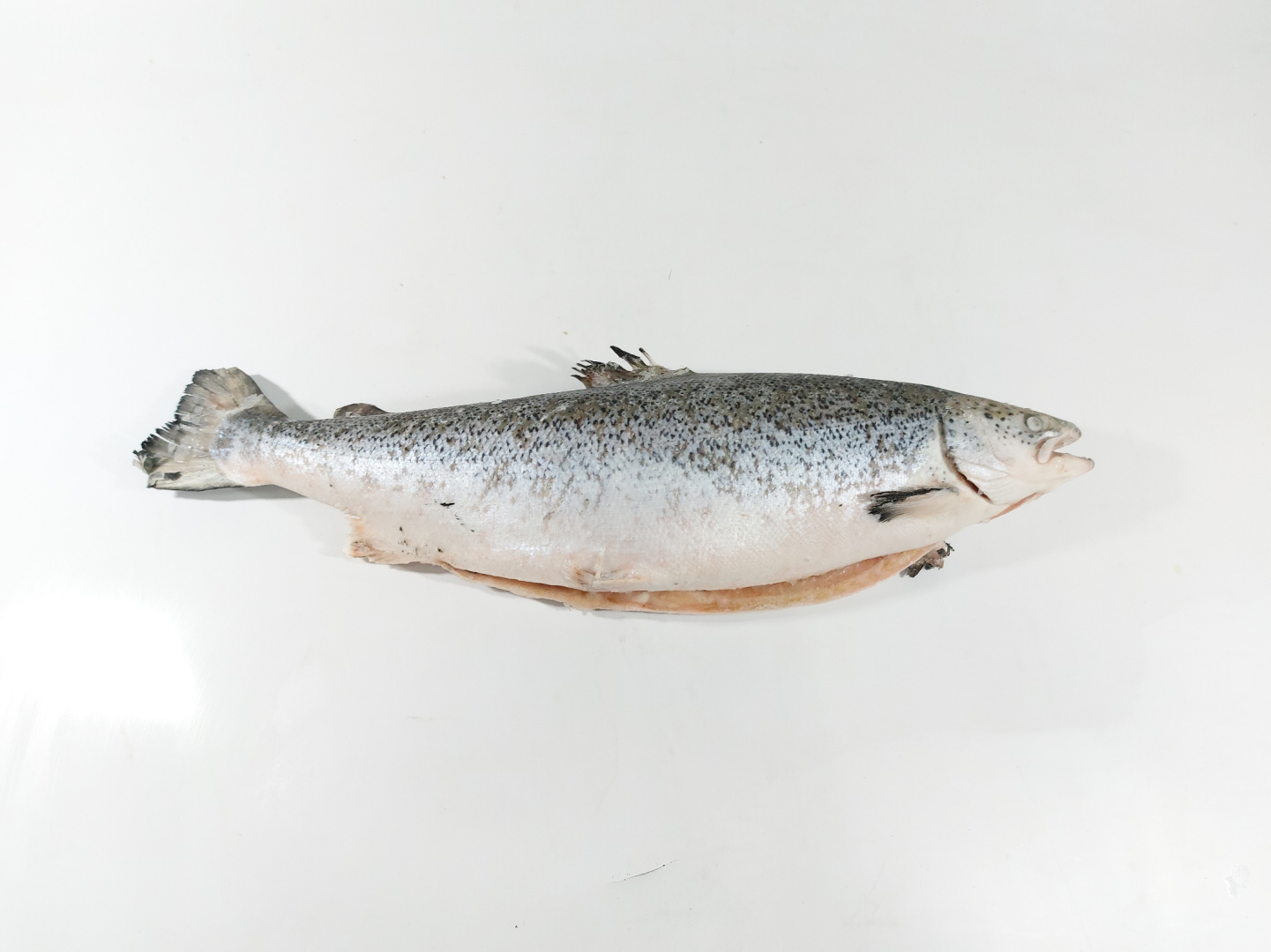 Лосось с/м Чили 8-9