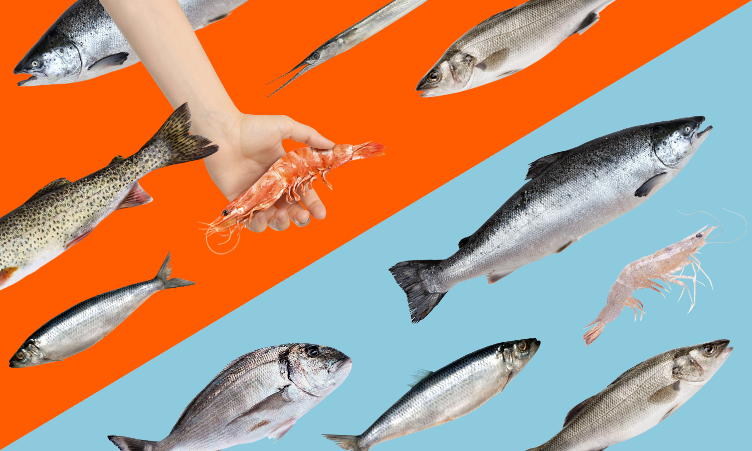 Рыба и морепродукты онлайн