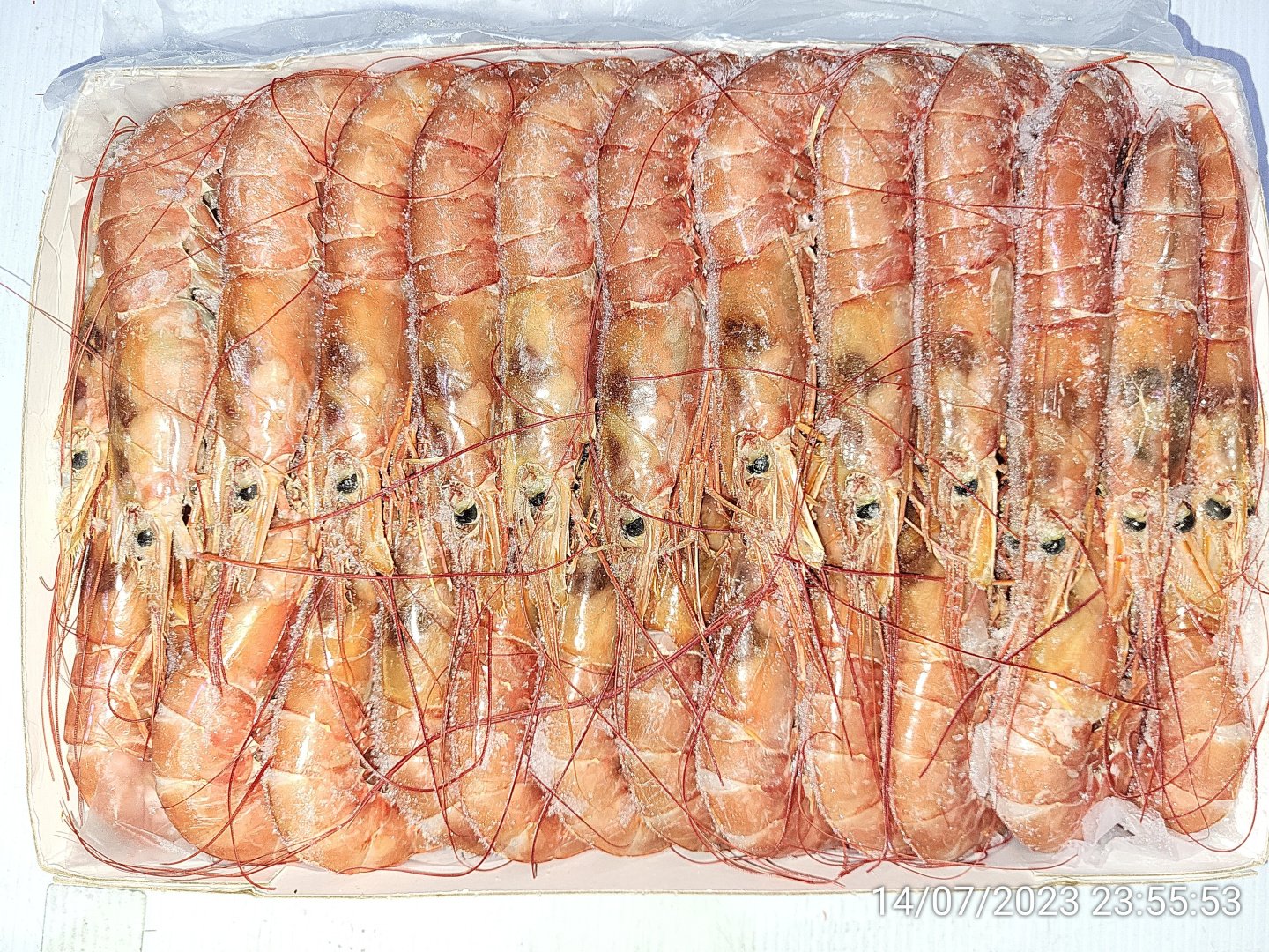 Креветка красная, с/г в панц., с/м, блок, 20-30 шт/кг 2 кг, карт., 12 ...