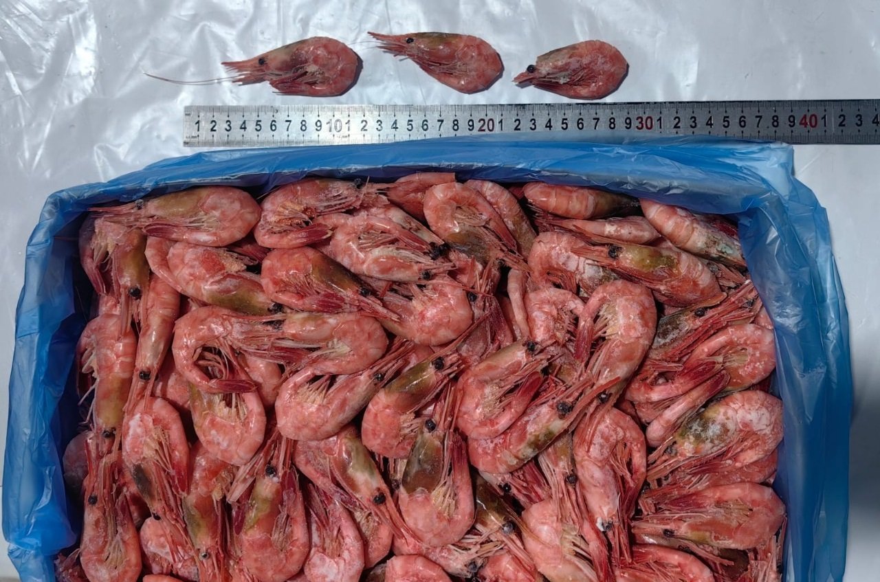 Креветки северные МАГАДАН