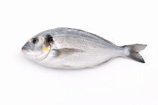 Дорадо с/м ТУРЦИЯ