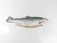 Лосось атлантический, прем., псг, с/м, индивид, 8-9 кг/шт, карт. (10636)