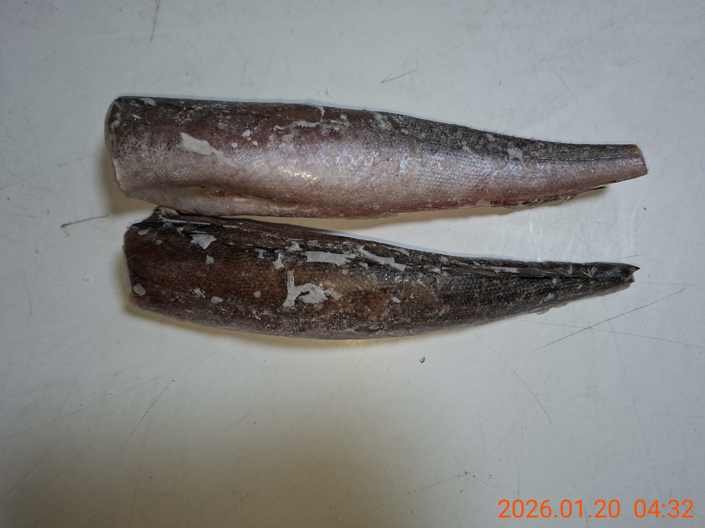 Хек тушка АРГЕНТИНА