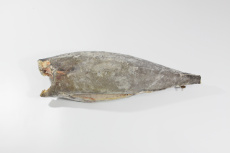 Масляная рыба, тушка, с/м, индивид, не более 5%, 3-6 кг/шт, мешок (DL 967)