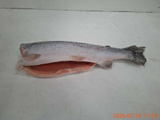 Форель радужная, пбг, с/м, индивид, не более 5%, 1.8-2.7 кг/шт, карт. (TR 55-0327)