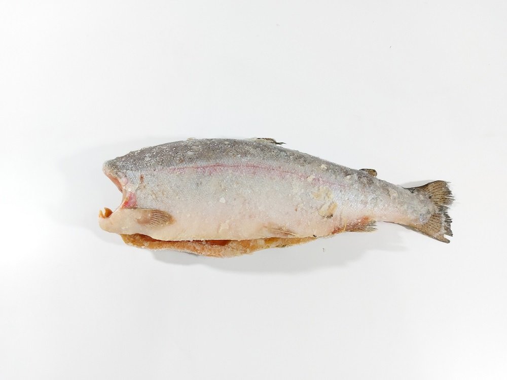 Defa_forel BG grade 1 6-9lb_Chile (5)