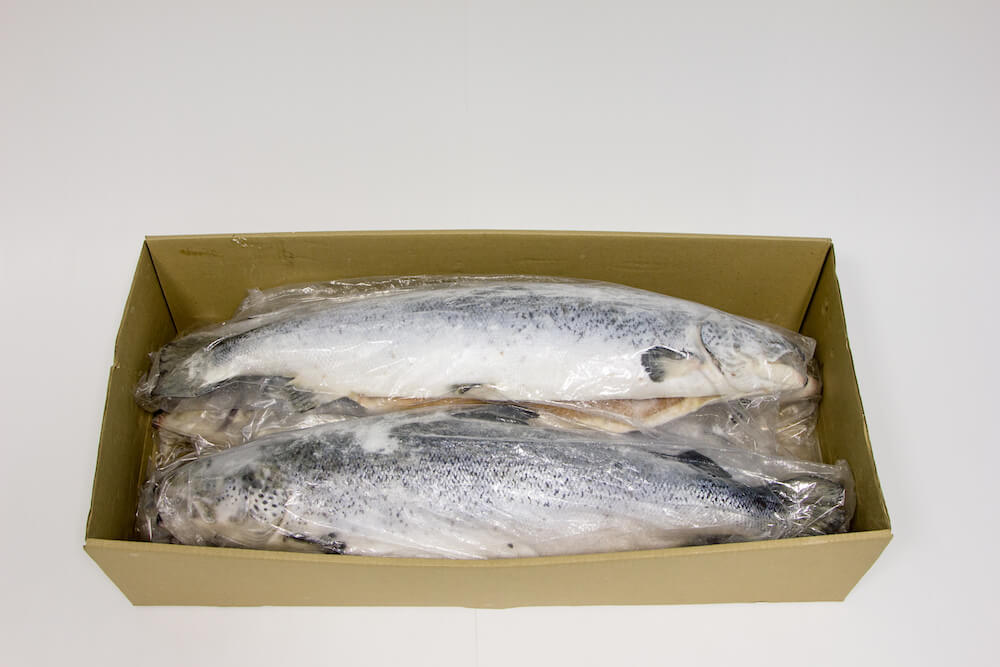 Лосось с/м Чили 8-9