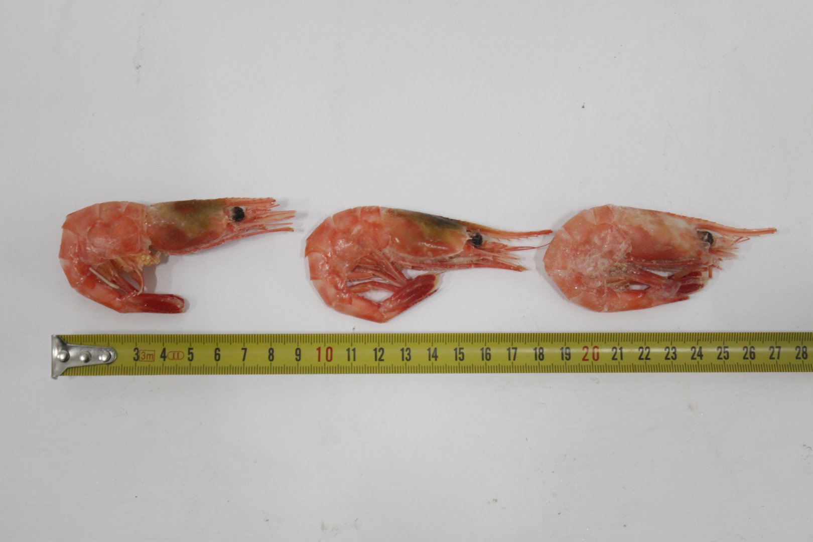 Креветки северные МАГАДАН