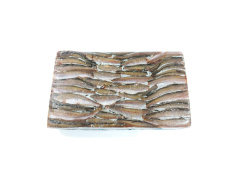 Хек гаи, тушка, с/м, 100-200 гр/шт, пролож., карт., 10 кг (197)