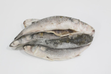 Кефаль чёрная, псг, с/м, блок, не более 5%, 1-2 кг/шт, карт., 10 кг (3300/02098)