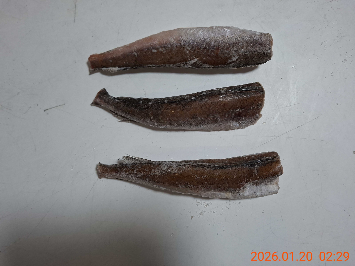 Хек тушка АРГЕНТИНА