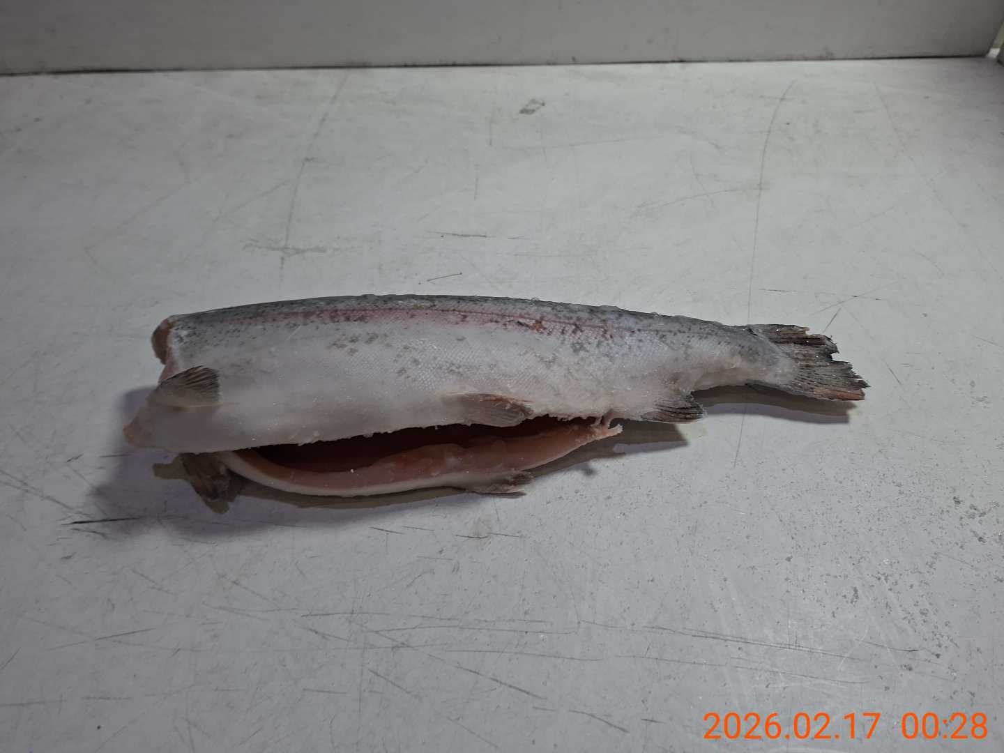0203007910_99JV163 _6