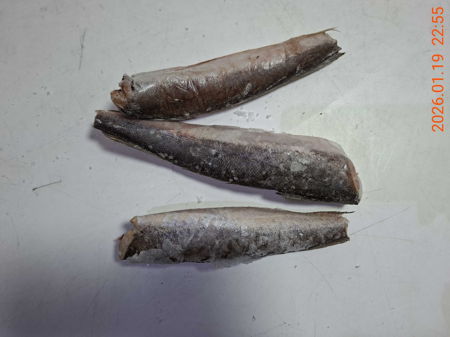 Хек тушка АРГЕНТИНА