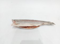 Форель пресноводная ТУРЦИЯ