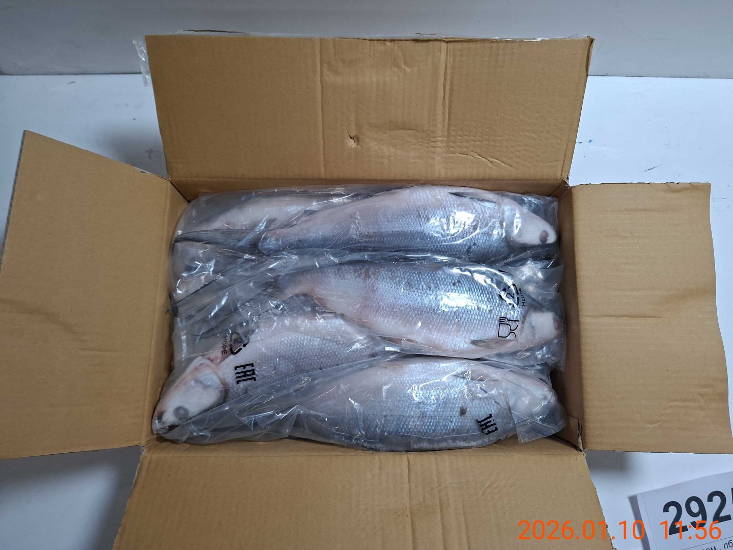 Молочная рыба