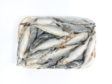 Скумбрия атлантическая, н/р, с/м, 2 блока, 600+ гр/шт, карт., 25 кг (FO 181)