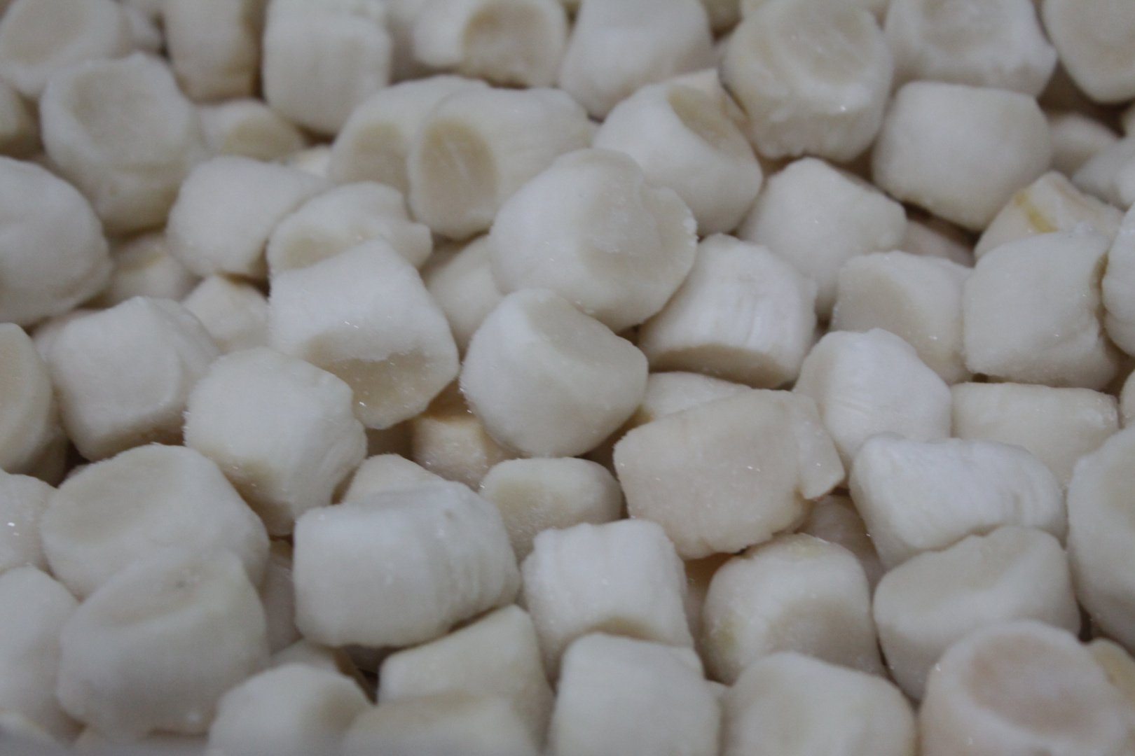 Гребешок российский