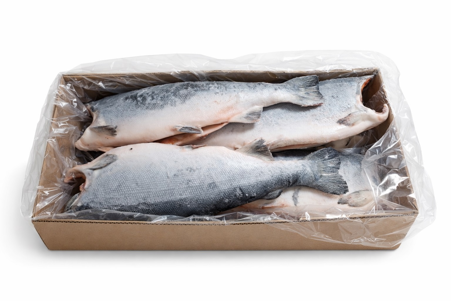 ChatGPT Image 25 мар. 2026_3