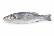 Сибас с/м ТУРЦИЯ