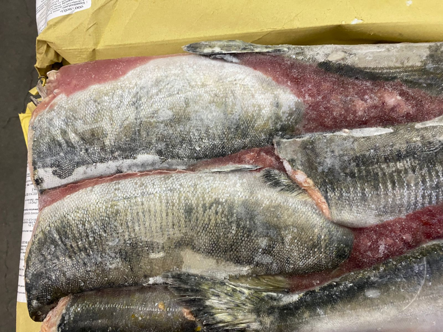 Горбуша РОССИЯ