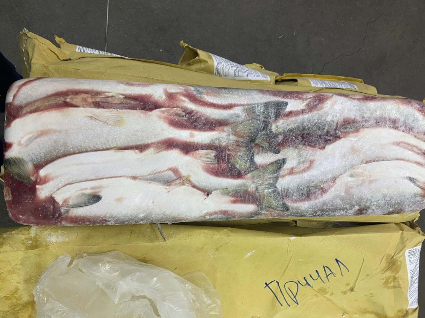 Горбуша РОССИЯ