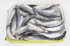 Сельдь атлантическая РОССИЯ