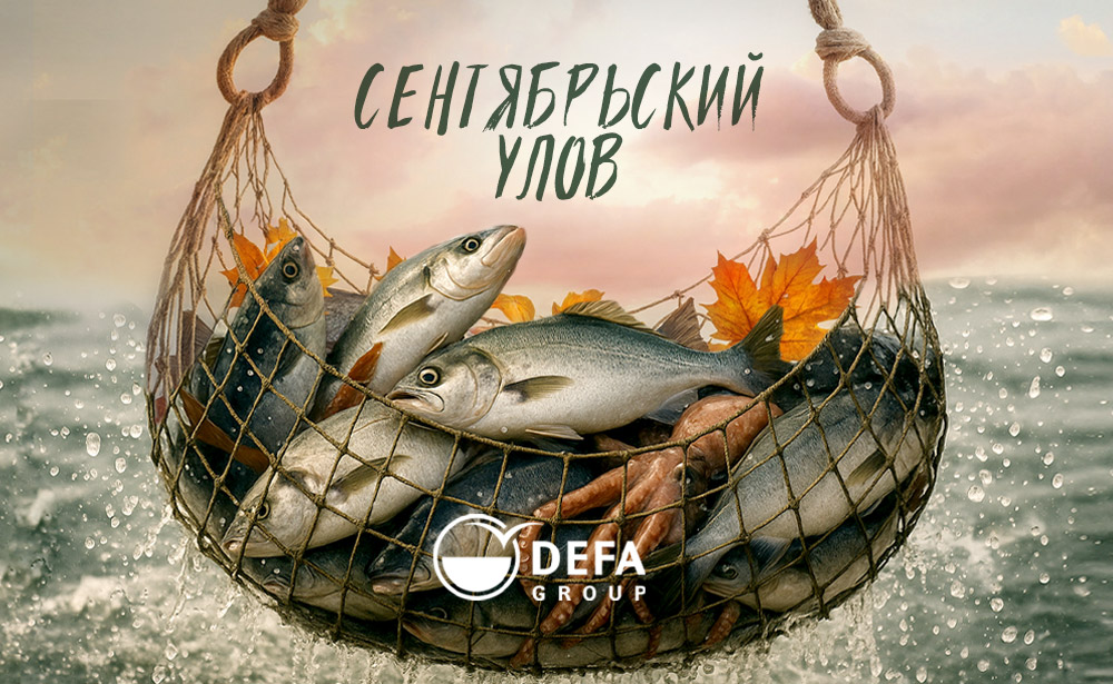 Сентябрьский улов!