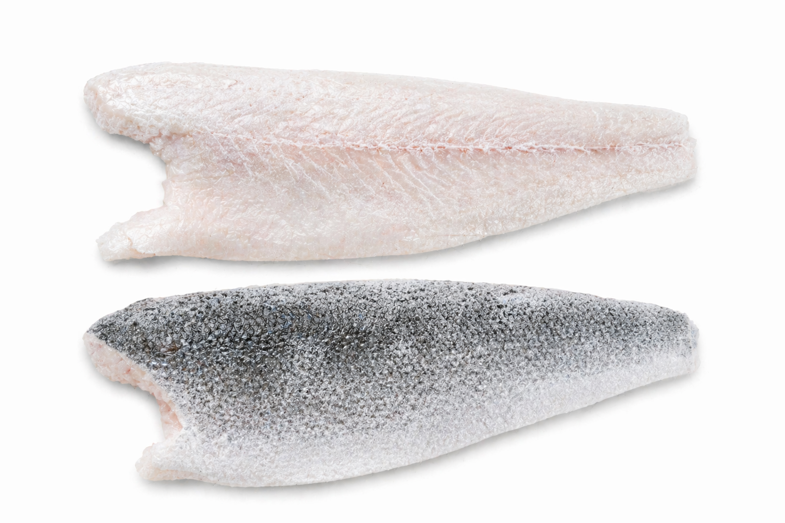 Сибас филе н/к