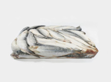 Сельдь атлантическая, н/р, с/м, 2 блока, 350+ гр/шт, карт., 28 кг (FO 174)