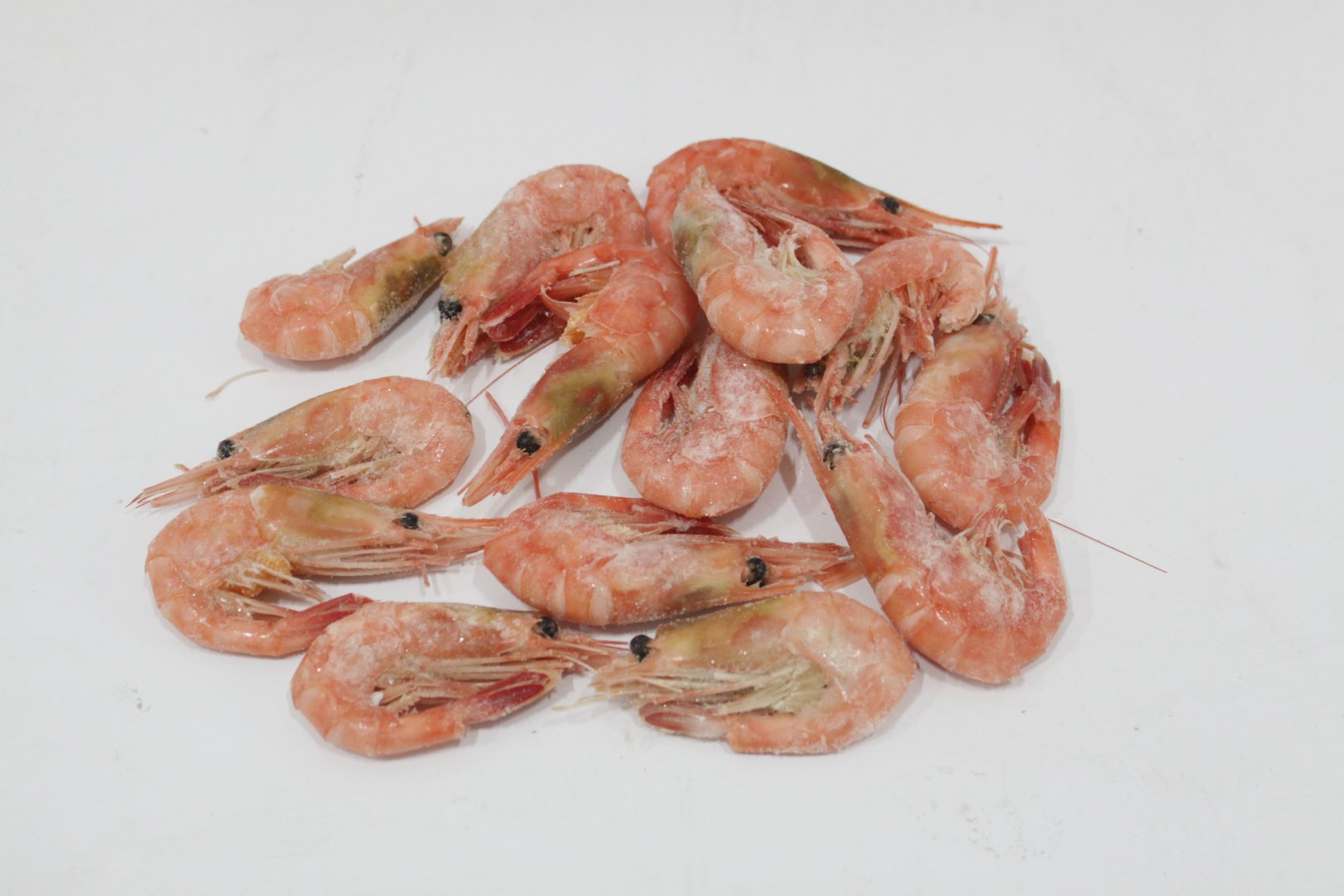 Креветки северные МАГАДАН