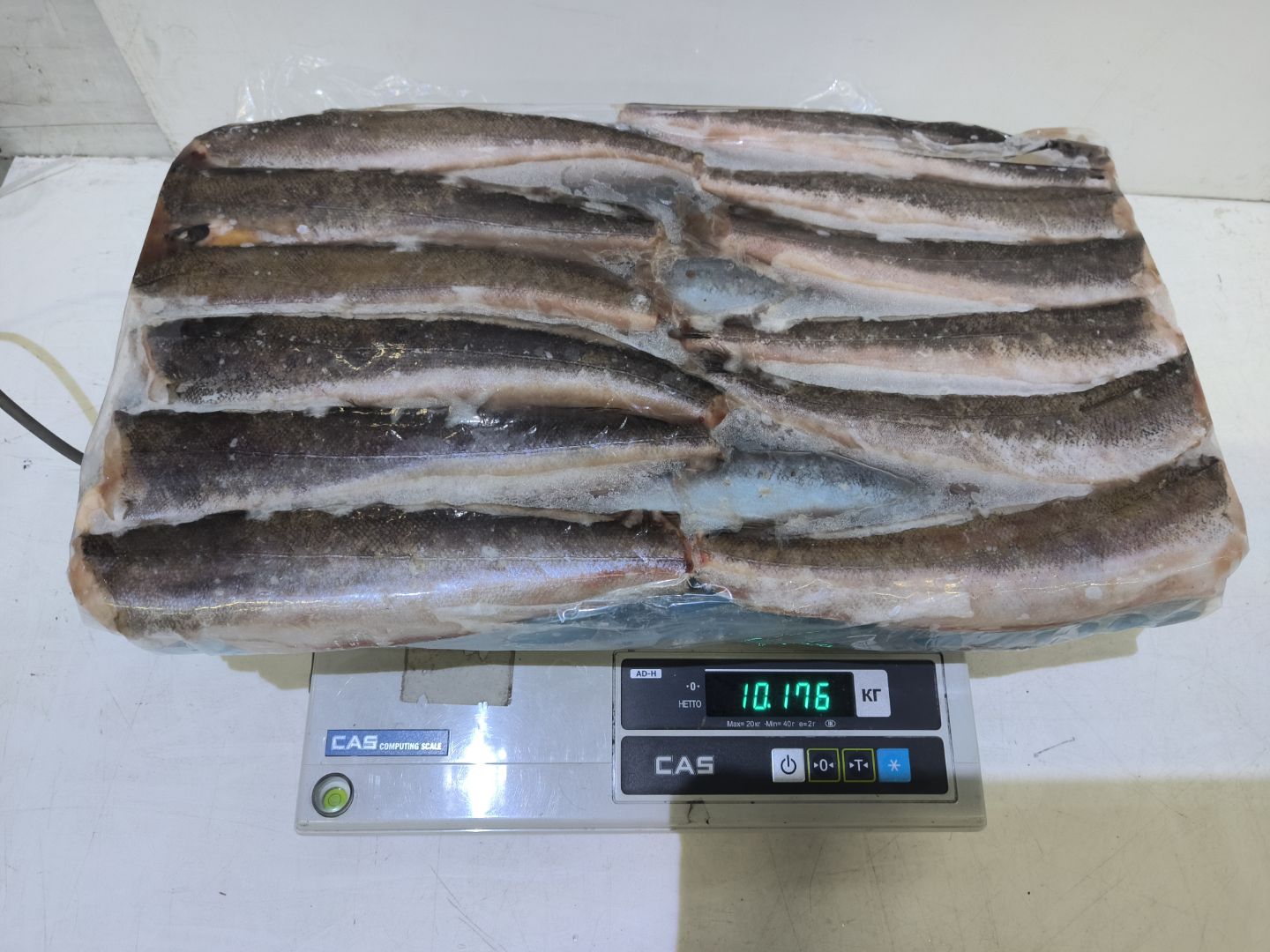 Хек тушка АРГЕНТИНА