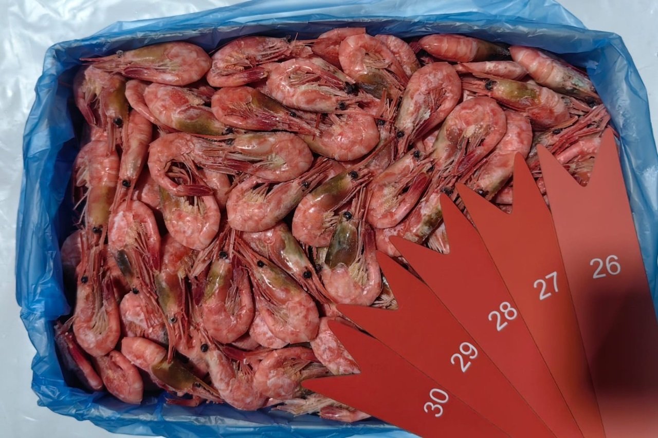 Креветки северные МАГАДАН