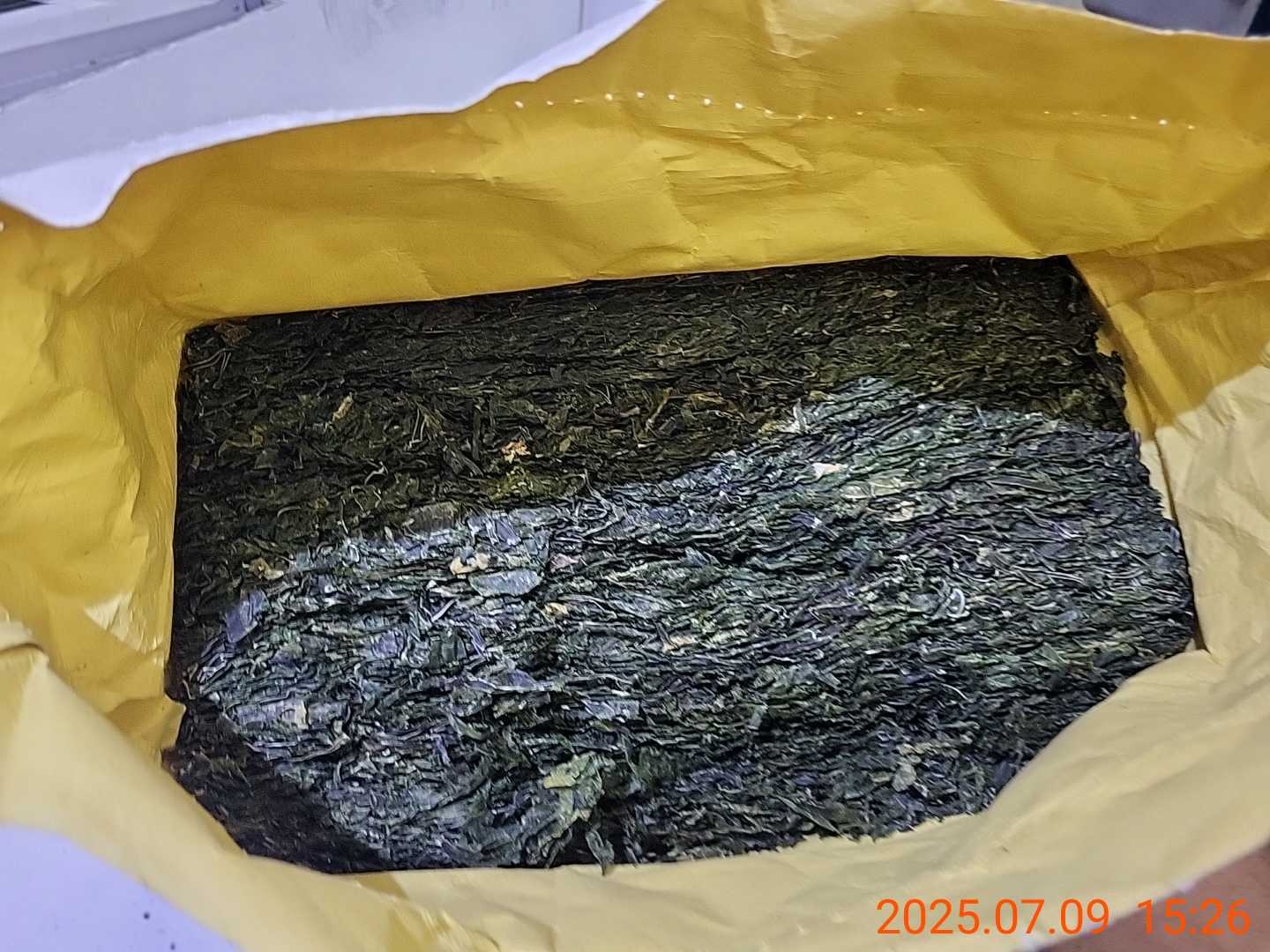 Капуста морская