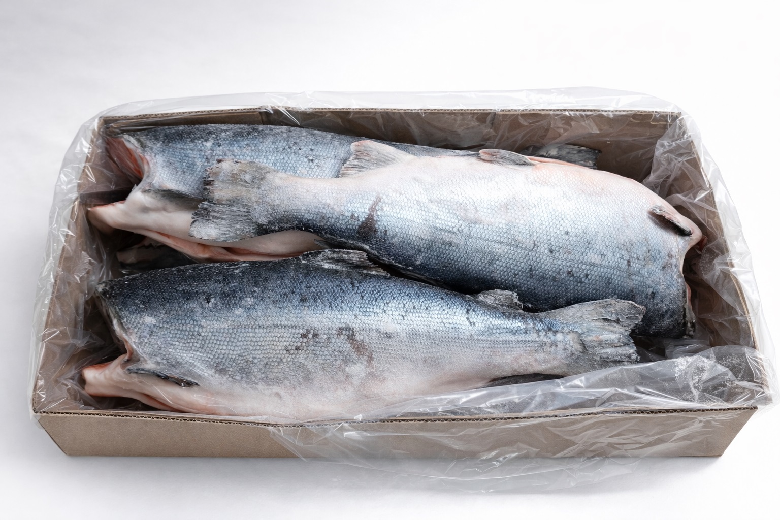 Кижуч 8-10 ЧИЛИ