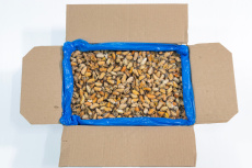 Мидии, очищ., в/м, индивид, не более 8%, 100-200 шт/кг, карт., 9,2 кг (10752)