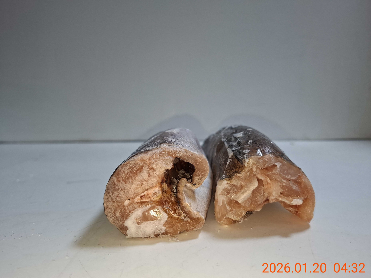 Хек тушка АРГЕНТИНА