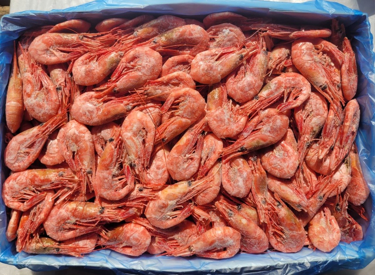 Креветки северные МАГАДАН