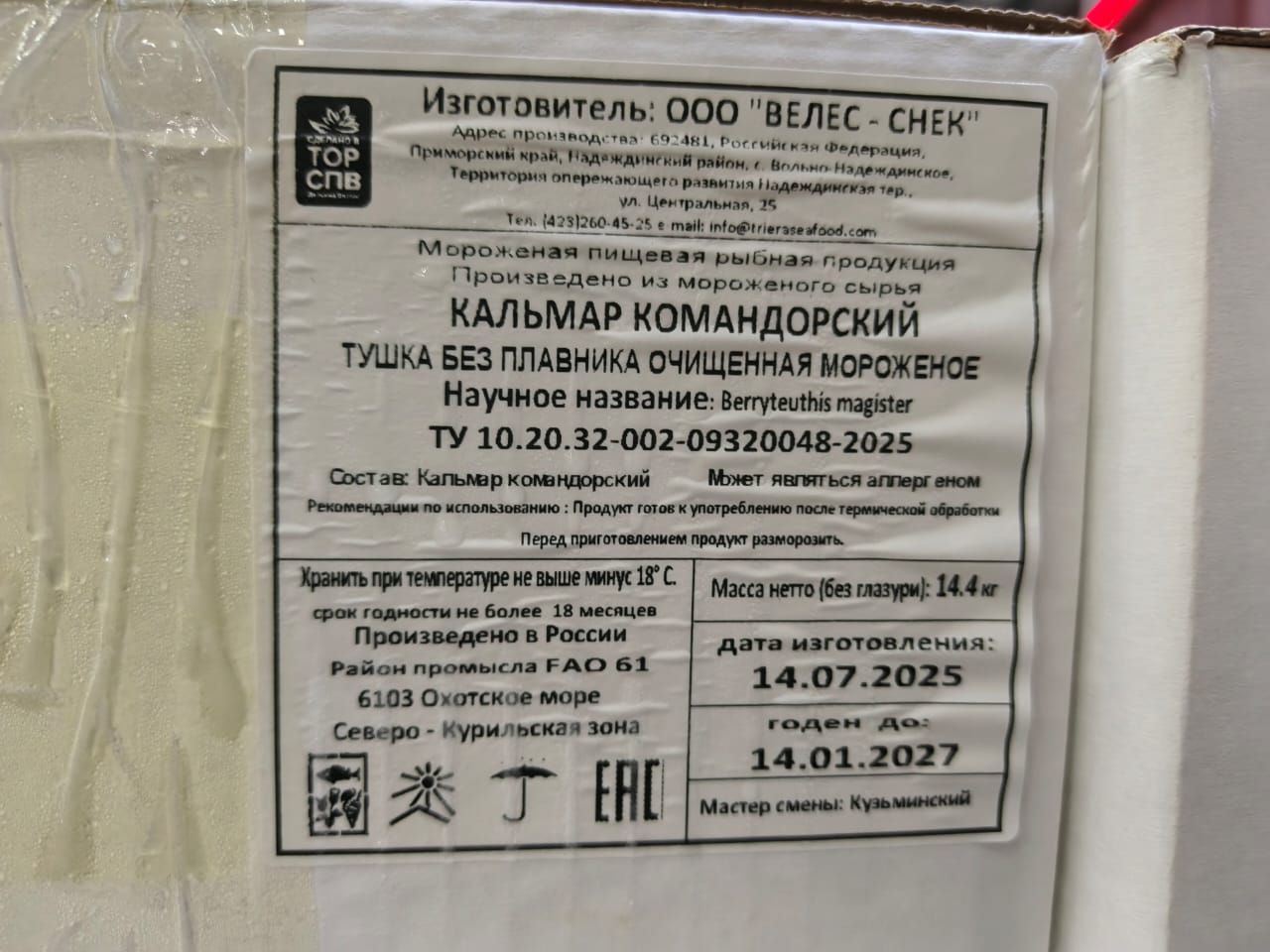 Кальмар РОССИЯ