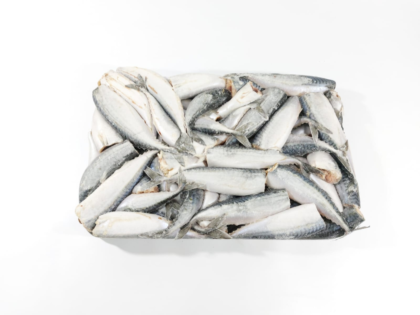 Скумбрия атлантическая б/г РОССИЯ