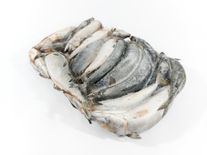 Скумбрия тихоокеанская РОССИЯ