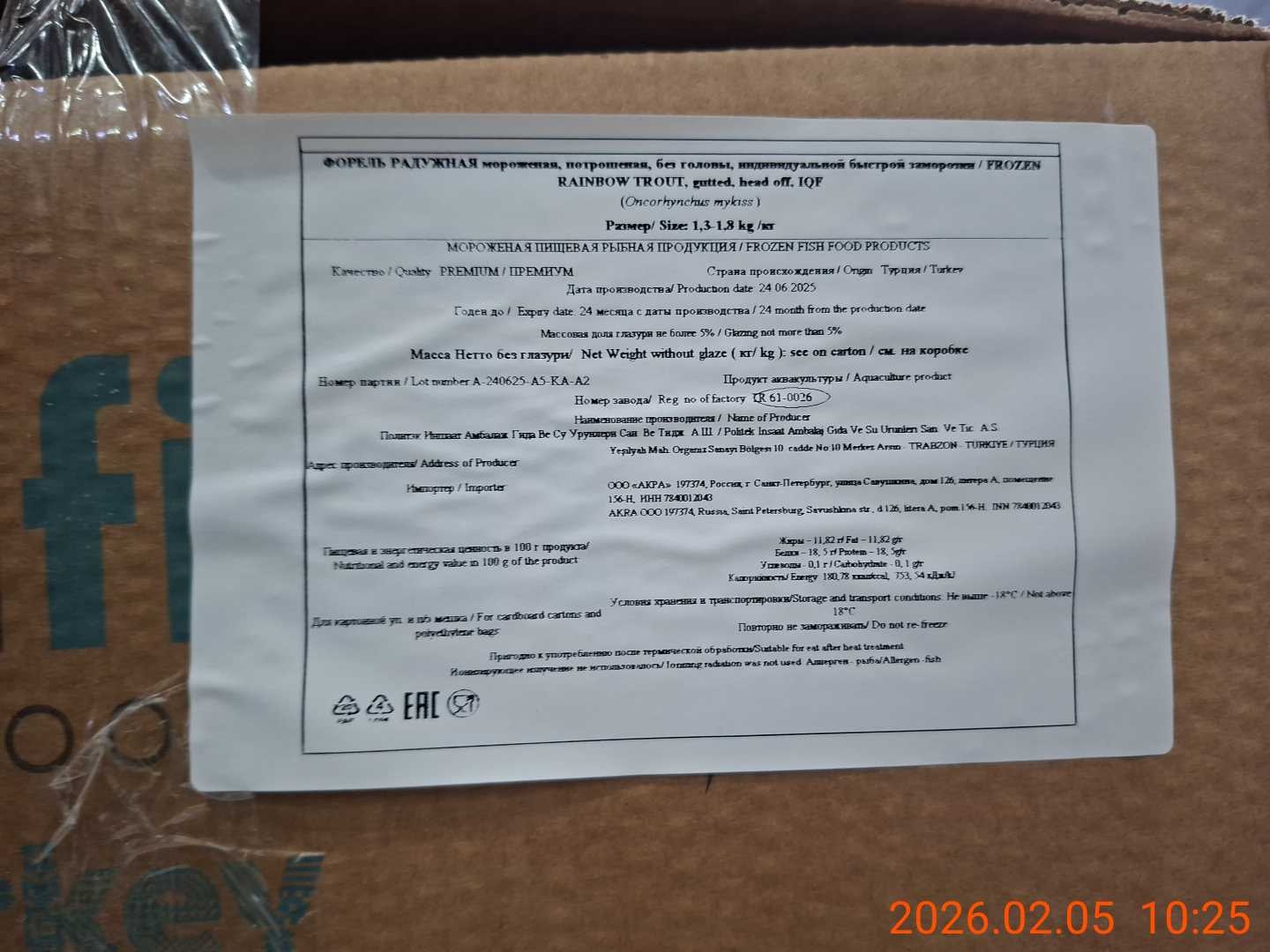 Defa_forel BG grade 1 6-9lb_Chile (5)