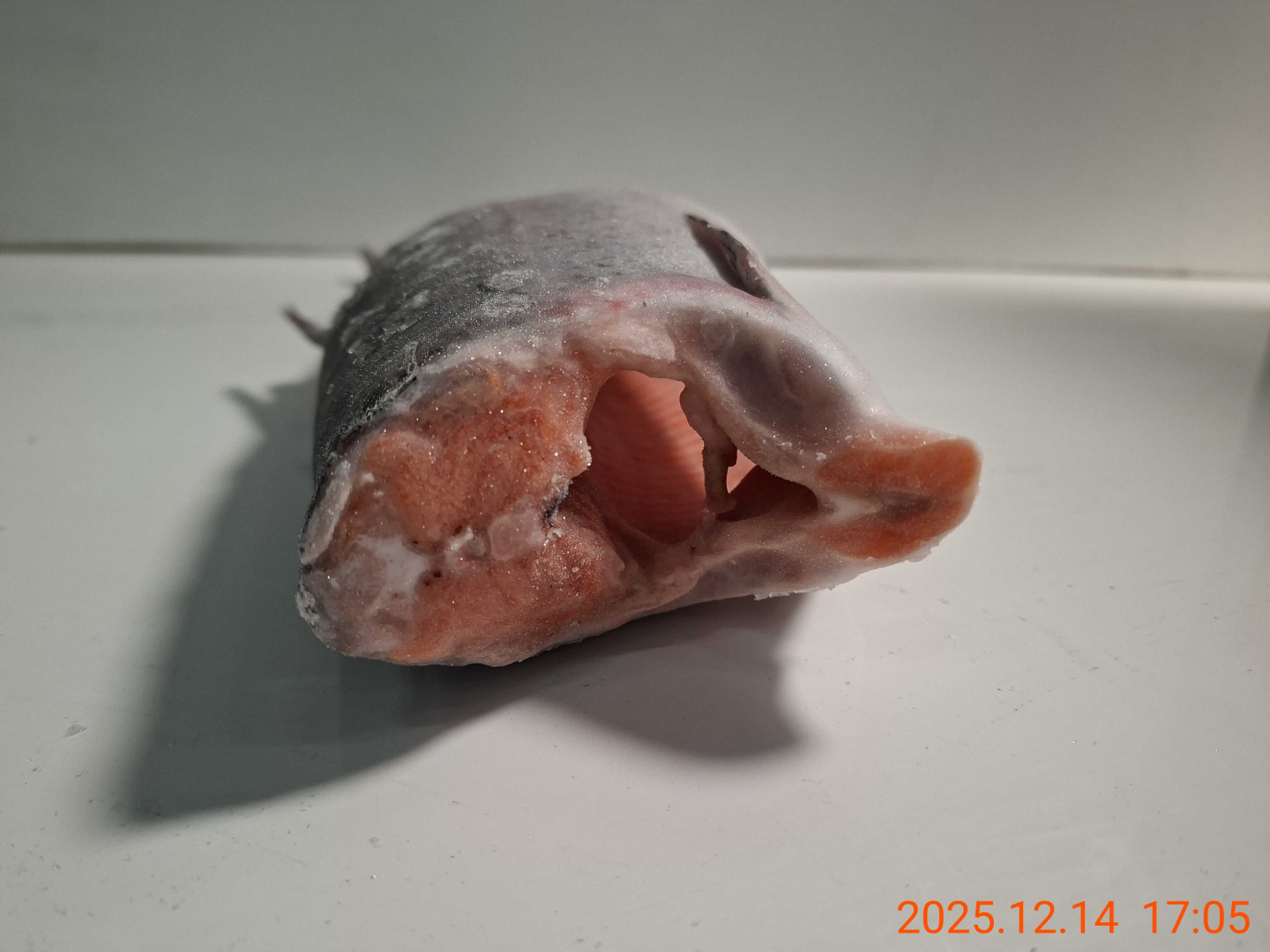 0203007340_99OX553 _9