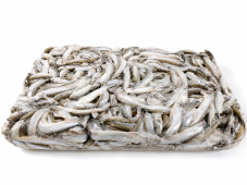 Мойва ФАРЕРСКИЕ ОСТРОВА