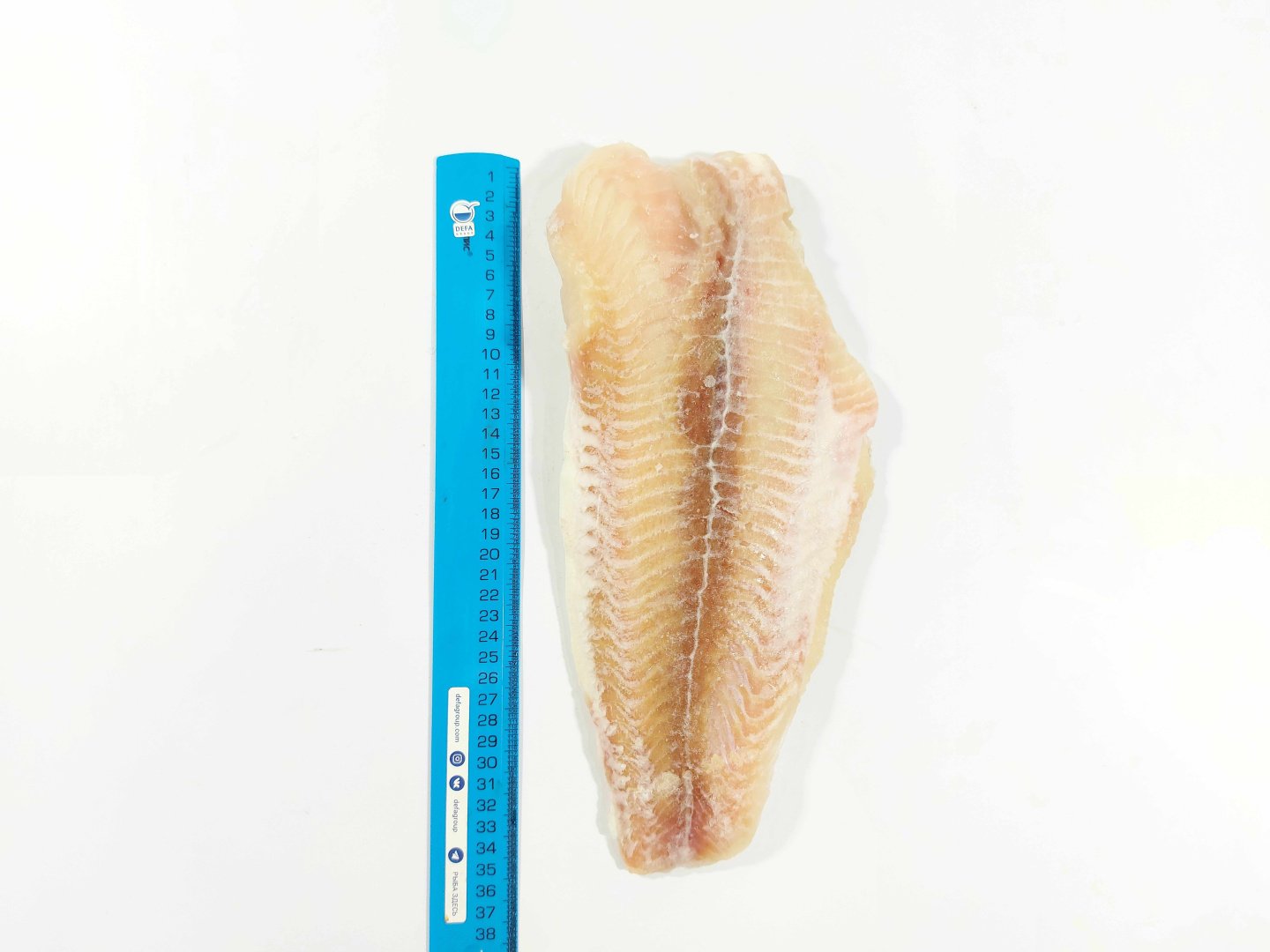 Пангасиус бел. филе