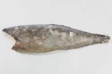 Масляная рыба, филе н/к, с/м, индивид, не более 5%, 4-6 кг/шт, карт., 25 кг (197)