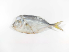 Вомер, н/р, с/м, блок, 150-200 гр/шт, карт., 10 кг (197)