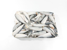 Скумбрия атлантическая, б/г, с/м, 3 блока, 300+ гр/шт 10 кг, карт., 30 кг (РТМК-С К-2184 "Борис Сыромятников")