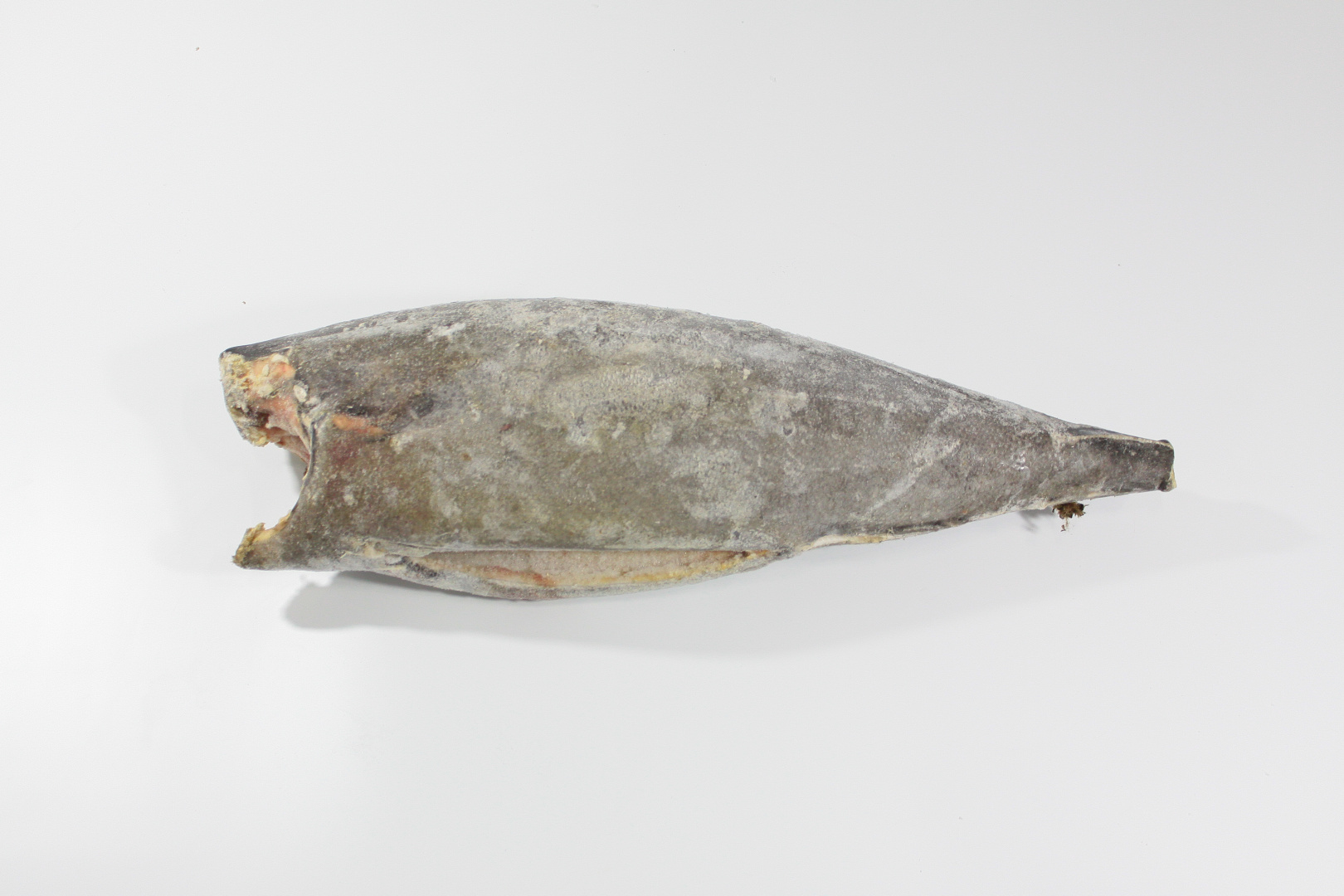 Масляная ( эсколар ) тушка 